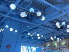 -翡翠拉面小笼包Crystal Jade(上海浦东国际机场T1店)
