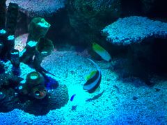 -沈阳海洋探索中心