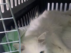 -酷宠动物医院(天通西苑店)