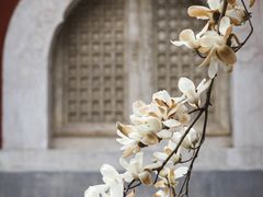 -北京艺术博物馆(万寿寺)