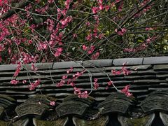 -慧因高丽寺