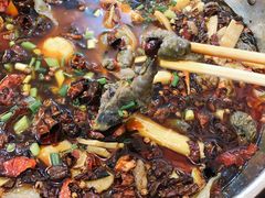 -黑竹香鸡(营和巷店)