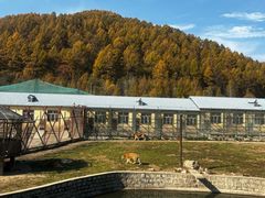 -横道河子东北虎林园