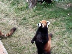 -泉州海丝野生动物世界