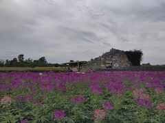 -江苏三台山国家森林公园