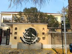 -三里屯东五街银杏大道