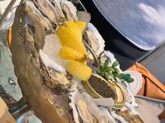 -普朗姆生蚝牛排馆 The Plump Oyster(成都摩方购物中心店)