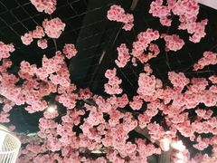 -九田家黑牛烤肉料理·自助(洪洞县城市花园店)
