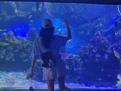 -江和美海洋公园