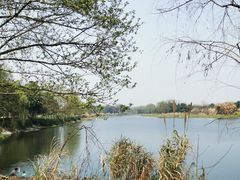 -中国天府农业博览园