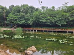-云岗森林公园