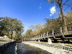 -白水寺森林公园