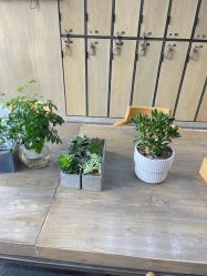 -韩国李知恩形象设计