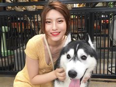 -TrueLove @ Neverland (Husky Cafe)