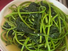 -麻奢鸽农庄·梦里水乡