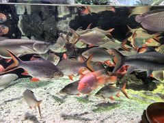 -太平洋海底世界