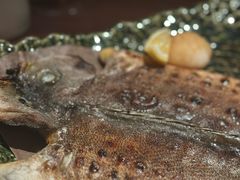 -High Yaki THE SEA海鲜居酒屋