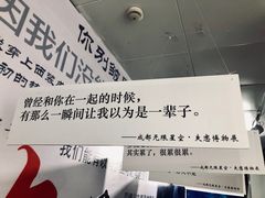-成都失恋馆