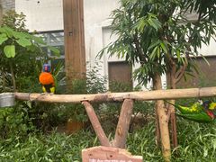-南宫五洲植物乐园