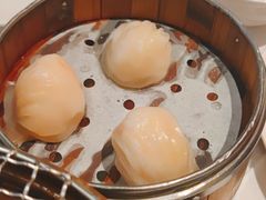 -洪禧楼·老广东海鲜酒楼(宁波万象城店)