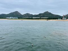 -海驴岛(荣成市)