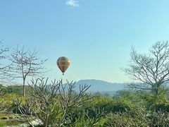 -中国科学院西双版纳热带植物园