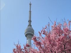 -龟山风景区-龟山电视塔