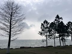 -苏州湾体育公园