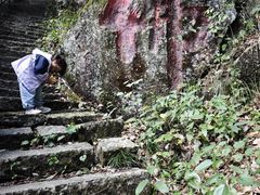 -东天目山风景区