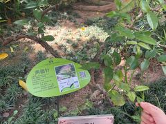 -广州神农草堂中医药博物馆