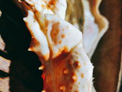 -蟹之国·精品蟹料理(极地店)