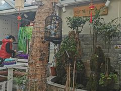 -丽江庭院之丽江往事(安定门店)