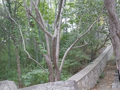 -云龙山