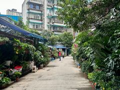 -青石桥花鸟鱼虫市场(叠翠城店)