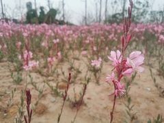 -白鹭湾湿地公园