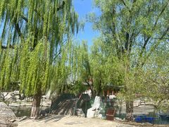 -万柳阁小馆·花园餐厅(龙潭湖店)