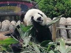 -大连森林动物园