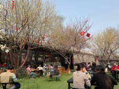 -春风习习