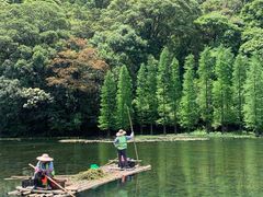-广州市石门国家森林公园