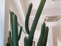 -卡朋西餐(较场西路店)