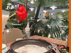 -春润大地海南椰子鸡(沙井京基百纳广场店)