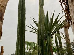 -悦哉·派对·草坪婚礼·围炉煮茶(三圣乡店)