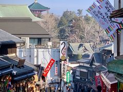-成田山新胜寺