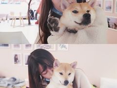 -浣熊柯尔鸭土拨鼠·电玩咖