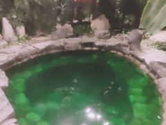 -中家鑫园温泉酒店鑫悦汤泉