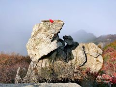 -秦岭风景区