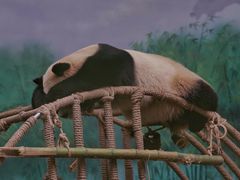 -杭州动物园