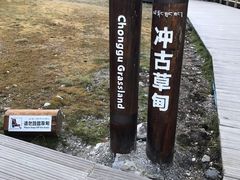-稻城亚丁景区-冲古草甸