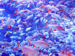 -成都浩海立方海洋公园