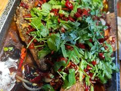 -小俩口烧烤东北菜(双井店)